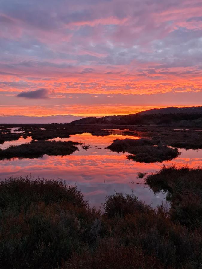L'Oasis De Port Fitou Leilighet Eksteriør bilde